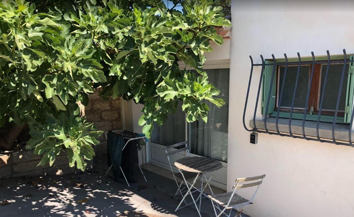 Le Nid Castries - Charmant Logement Complet Et Equipe Centre Castries Proche Montpellier Екстер'єр фото
